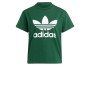 Maglia a Maniche Corte Uomo Adidas TREFOIL TEE IB7424 Verde