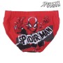 Costume da Bagno Bambino Spiderman Rosso