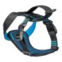 Imbracatura per Cani Company of Animals Carsafe Crash Tested Azzurro 34 cm Da viaggio XS