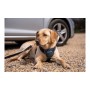 Imbracatura per Cani Company of Animals CarSafe Nero Taglia S