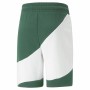 Pantaloni Corti Sportivi da Uomo Puma Power Cat Verde