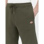 Pantaloncino Sportivo Dickies Mapleton Verde militare Oliva Uomo