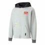 Felpa con Cappuccio Unisex Puma Boroughs Grigio