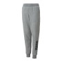 Pantalone di Tuta per Bambini Puma Power Logo Grigio