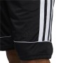 Pantaloncino Sportivo Adidas Creator 365 M Nero Uomo