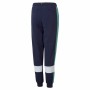 Pantalone di Tuta per Bambini Puma Essential+ Colorblock B Blu scuro