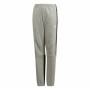 Pantalone Sportivo per Bambini Adidas Grigio