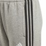 Pantalone Sportivo per Bambini Adidas Grigio