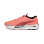 Scarpe da Running per Adulti Puma Velocity Nitro 2 Salmone Donna