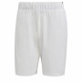 Pantaloni Corti Sportivi da Uomo Adidas Club Stetch Bianco