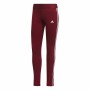 Pantalone Lungo Sportivo Adidas Loungewear Bordeaux Donna