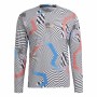 Maglia a Maniche Lunghe Uomo Adidas Terrex Primeblue Trail Bianco