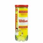 Palline da Tennis Wilson Championship XD (3 pcs)