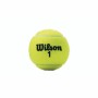 Palline da Tennis Wilson Championship XD (3 pcs)