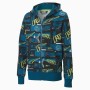 Felpa con Cappuccio Bambino Puma FULL-ZIP 583197