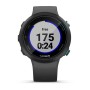 Orologi Sportivi GARMIN 010-02247-10 1,04" Nero Grigio Lavagna