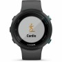 Orologi Sportivi GARMIN 010-02247-10 1,04" Nero Grigio Lavagna