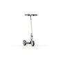 Monopattino Elettrico Segway Zing C10 Grigio Argentato 120 W